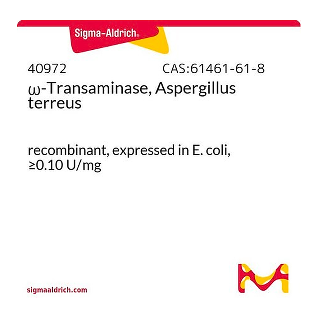 Merck omega-Transaminase, Aspergillus terreus