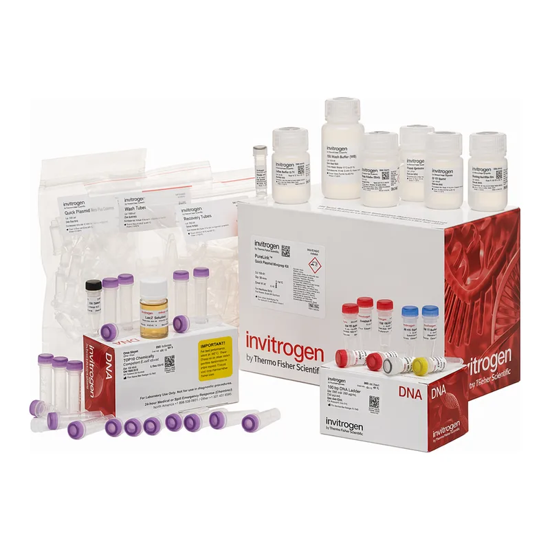 Thermo Fisher Scientific TOPO TA Cloning Kit, with pCR2.1-TOPO, One Shot TOP10 Chemically Competent E. coli, and PureLink Quick Plasmid Miniprep Kit