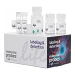 Thermo Fisher Scientific Click-iT HPG Alexa Fluor 594 Protein Synthesis Assay Kit