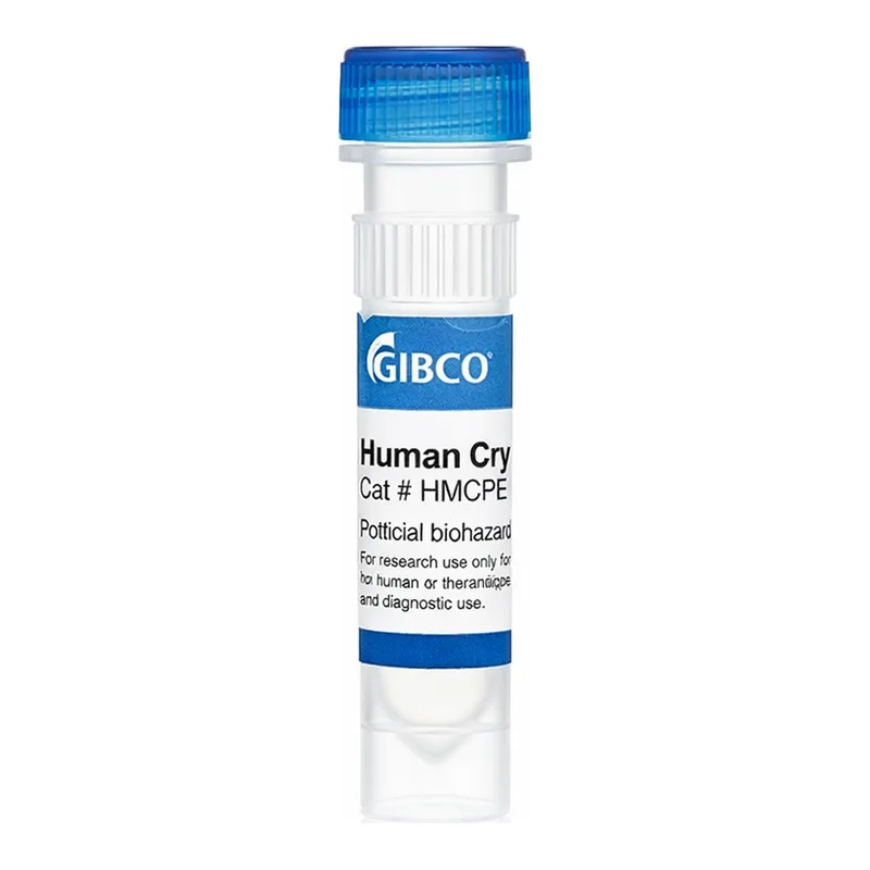 Thermo Fisher Scientific Human Plateable Hepatocytes, 5-Donor