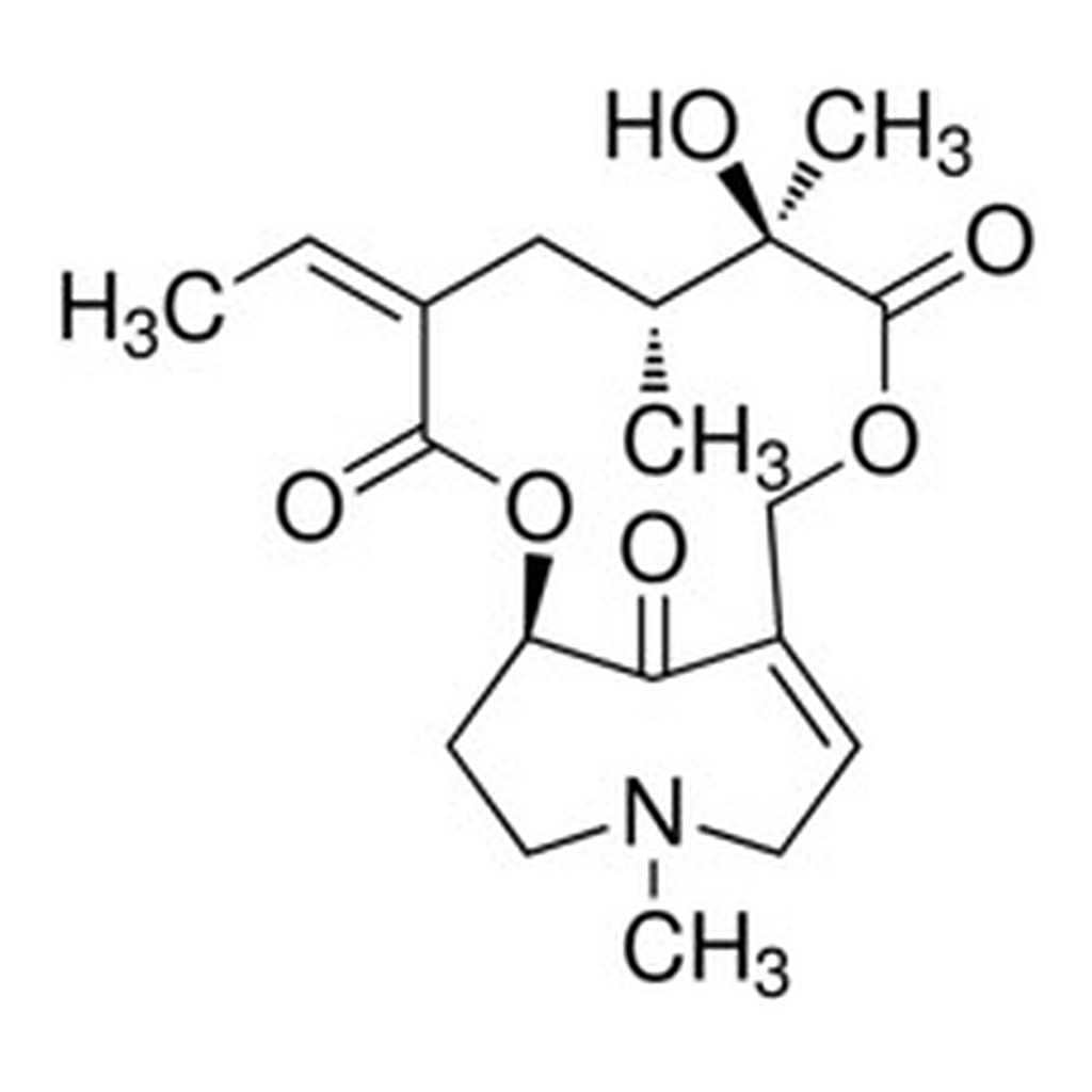 Merck SENKIRKIN