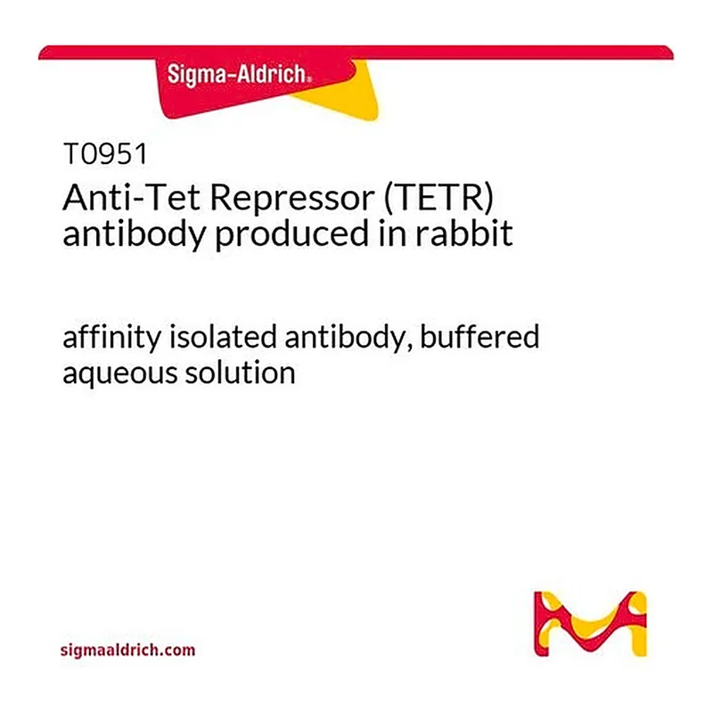 Merck Anti-Tet Repressor (TETR) antibody produced in rabbit