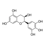 Merck (-)-EPIGALLOCATECHIN
