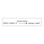 Merck Thioredoxin Reductase from Escherichia coli