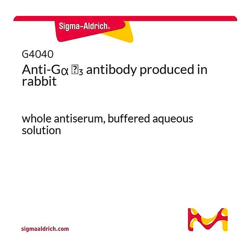 Merck Anti-Galpha i3 antibody produced in rabbit