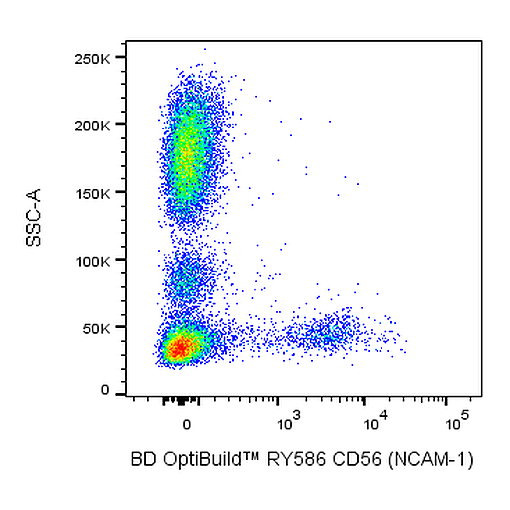 BD RY586 Mouse Anti-Human CD56