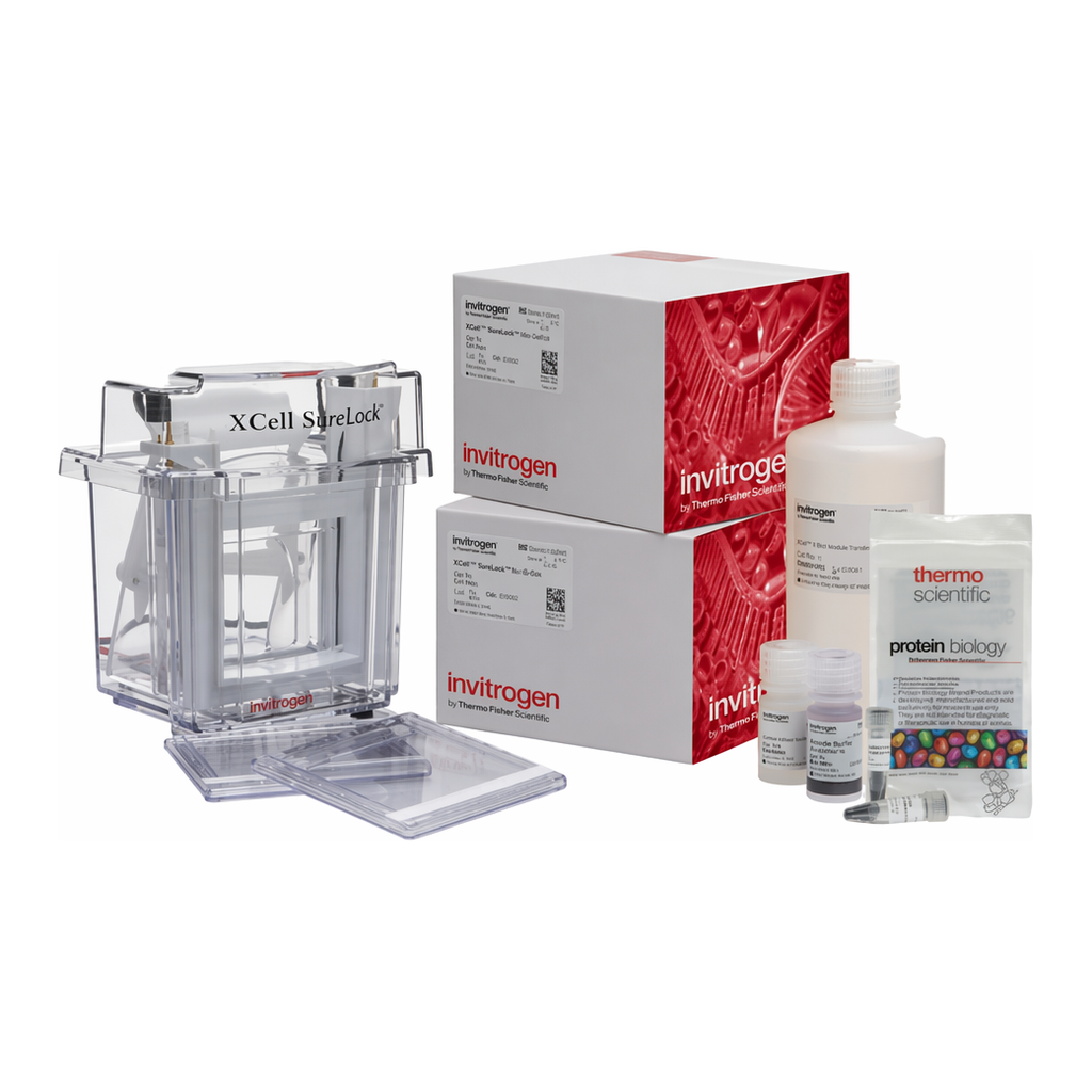 Thermo Fisher Scientific NuPAGE Tris-Acetate XCell SureLock Mini-Cell Welcome Pack, 3-8%, 10-well