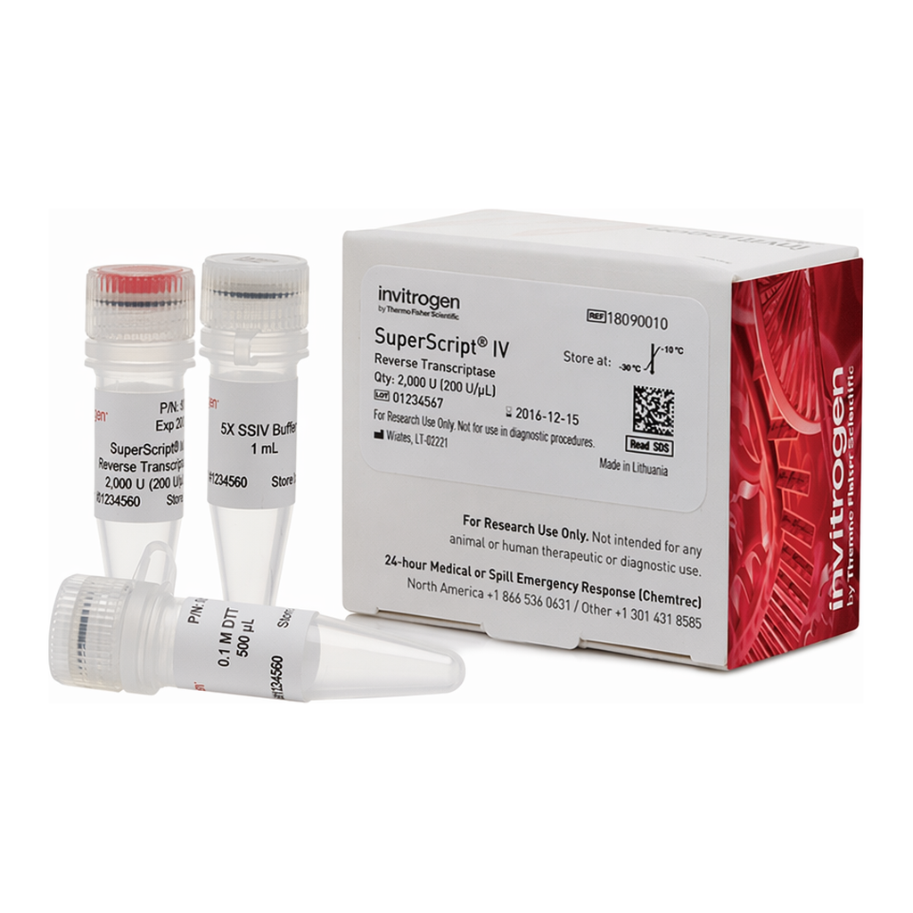 Thermo Fisher Scientific SuperScript IV Reverse Transcriptase, 2,000 Units