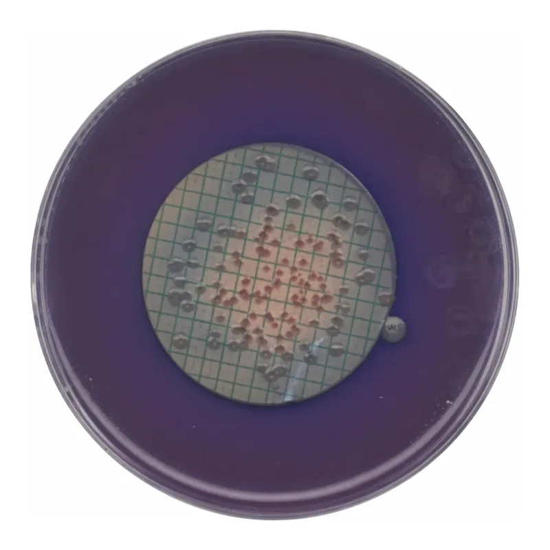 Merck m-FC-Agar