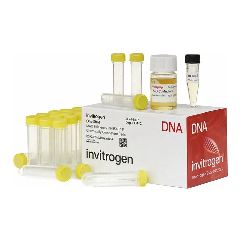 Thermo Fisher Scientific One Shot MAX Efficiency DH5α-T1<sup>R</sup> Competent Cells
