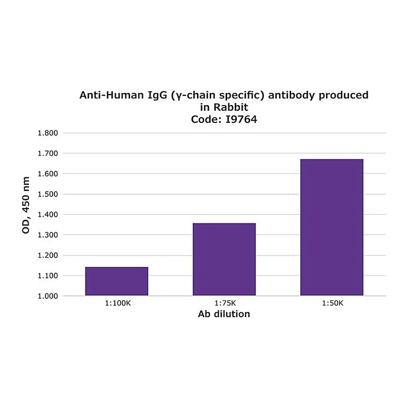 Merck Anti-Human IgG (gamma-chain specific) antibody produced in rabbit