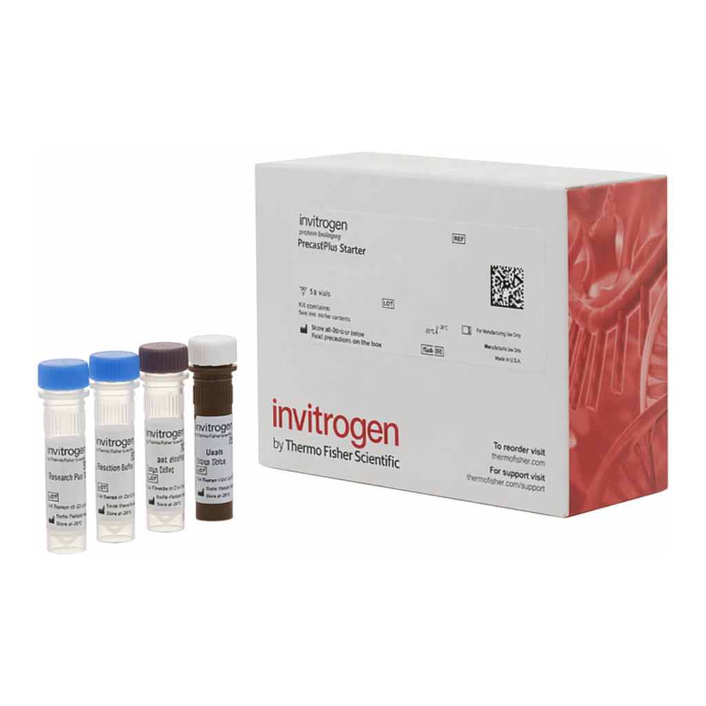 Thermo Fisher Scientific Amphiregulin Human ProcartaPlex Simplex Kit