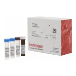 Thermo Fisher Scientific Amphiregulin Human ProcartaPlex Simplex Kit