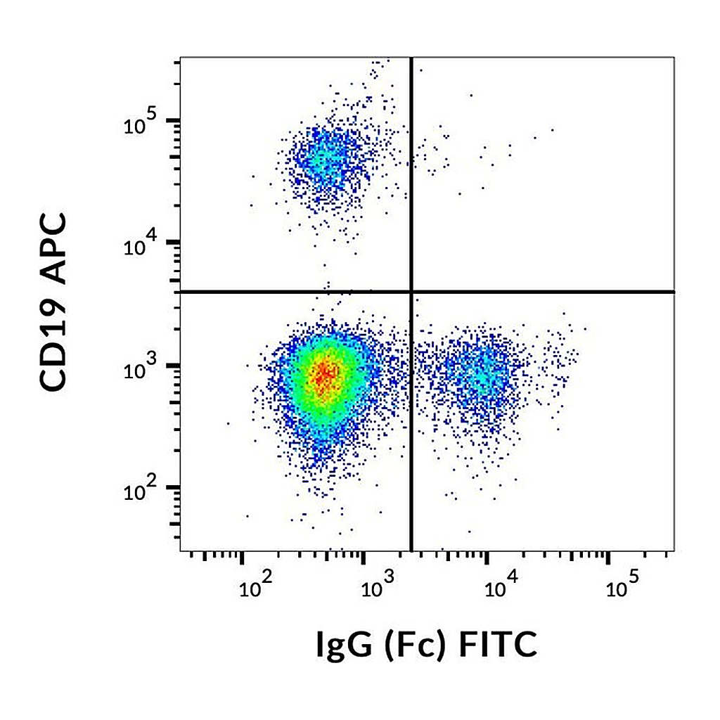 Thermo Fisher Scientific Mouse anti-Human IgG Fc Secondary Antibody, FITC