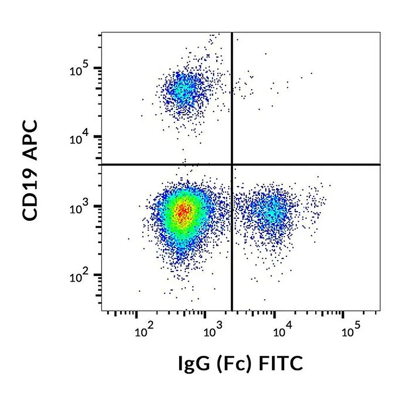 Thermo Fisher Scientific Mouse anti-Human IgG Fc Secondary Antibody, FITC