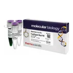 Thermo Fisher Scientific FastDigest Bsp119I