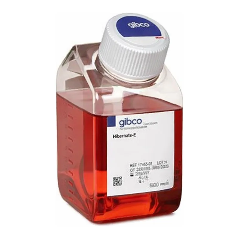 Thermo Fisher Scientific Hibernate-E Medium