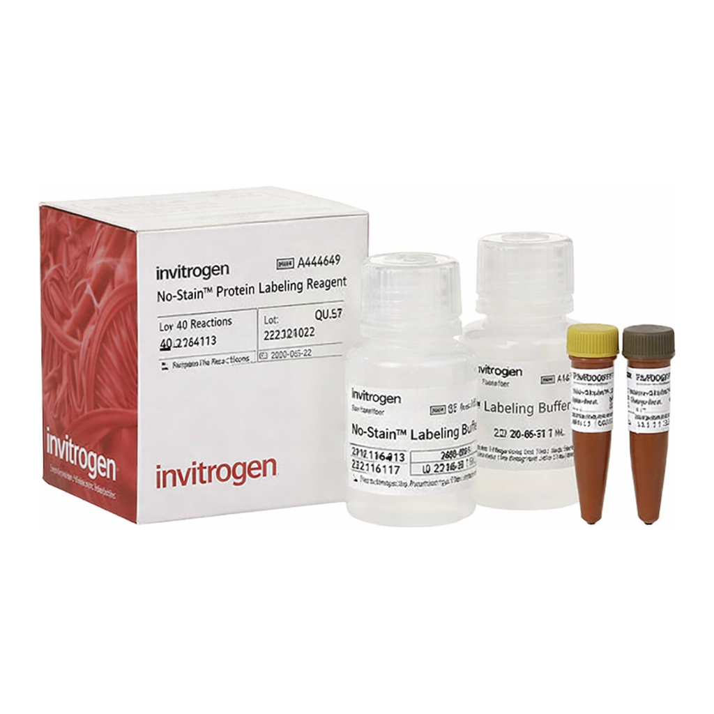 Thermo Fisher Scientific No-Stain Protein Labeling Reagent, 40 reactions