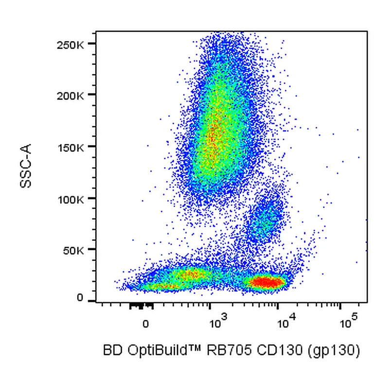 BD RB705 Mouse Anti-Human CD130 (gp130)