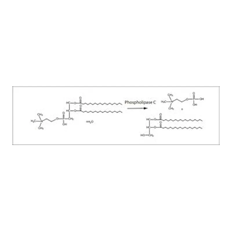 Merck PHOSPHOLIPASE C TYPE III FROM B. CEREUS