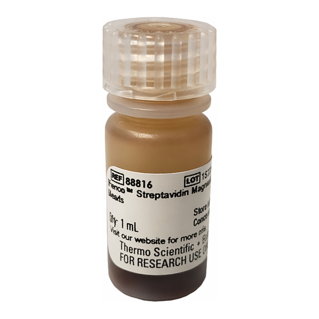Thermo Fisher Scientific Pierce Streptavidin Magnetic Beads, 1 mL