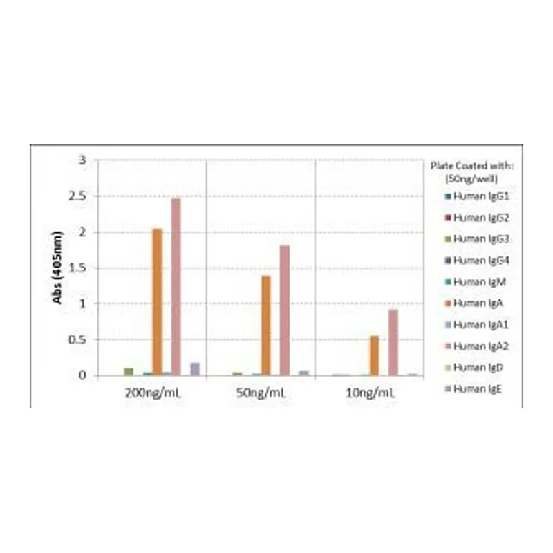 Thermo Fisher Scientific Rabbit anti-Human IgA2 Recombinant Secondary Antibody, Biotin