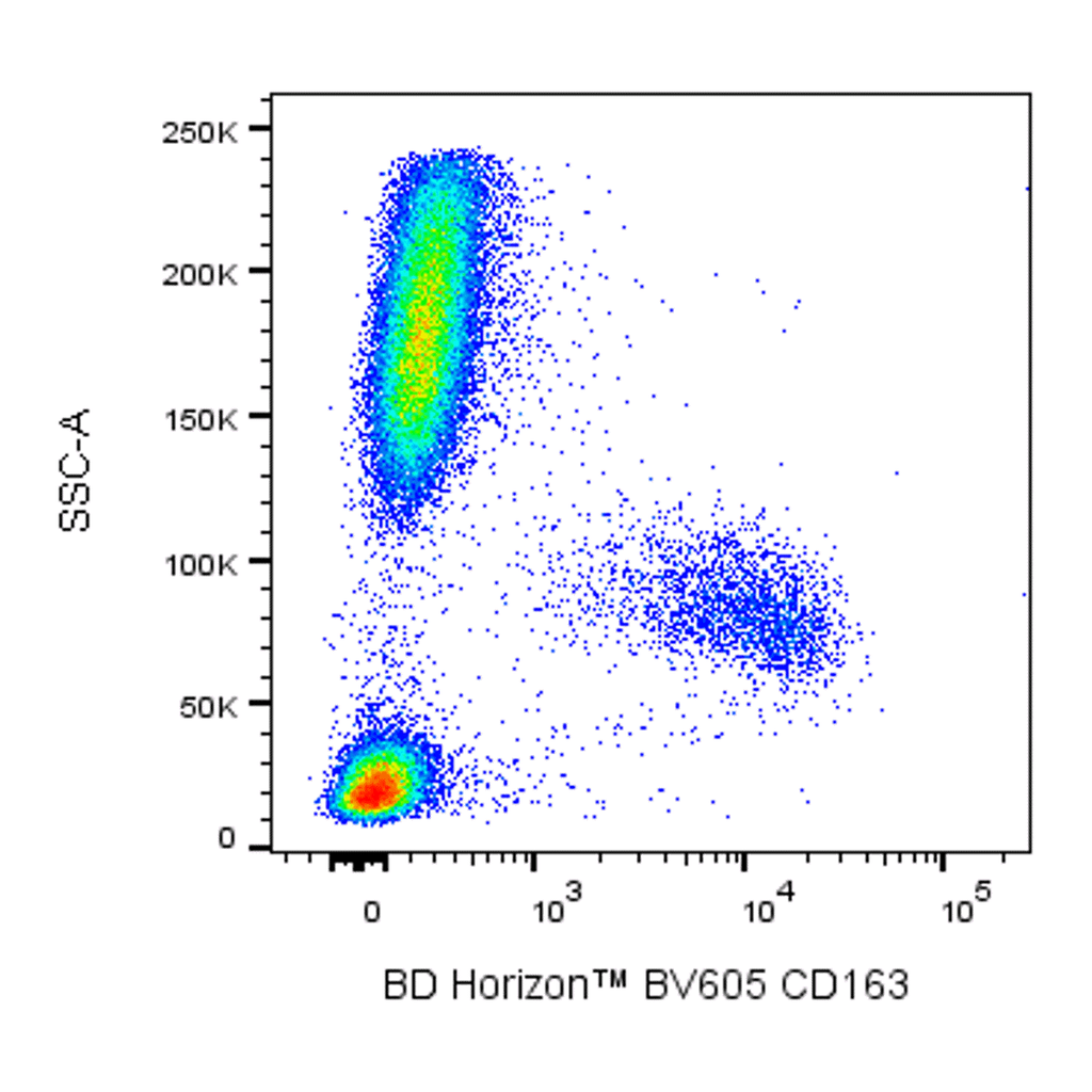 BD BV605 Mouse Anti-Human CD163