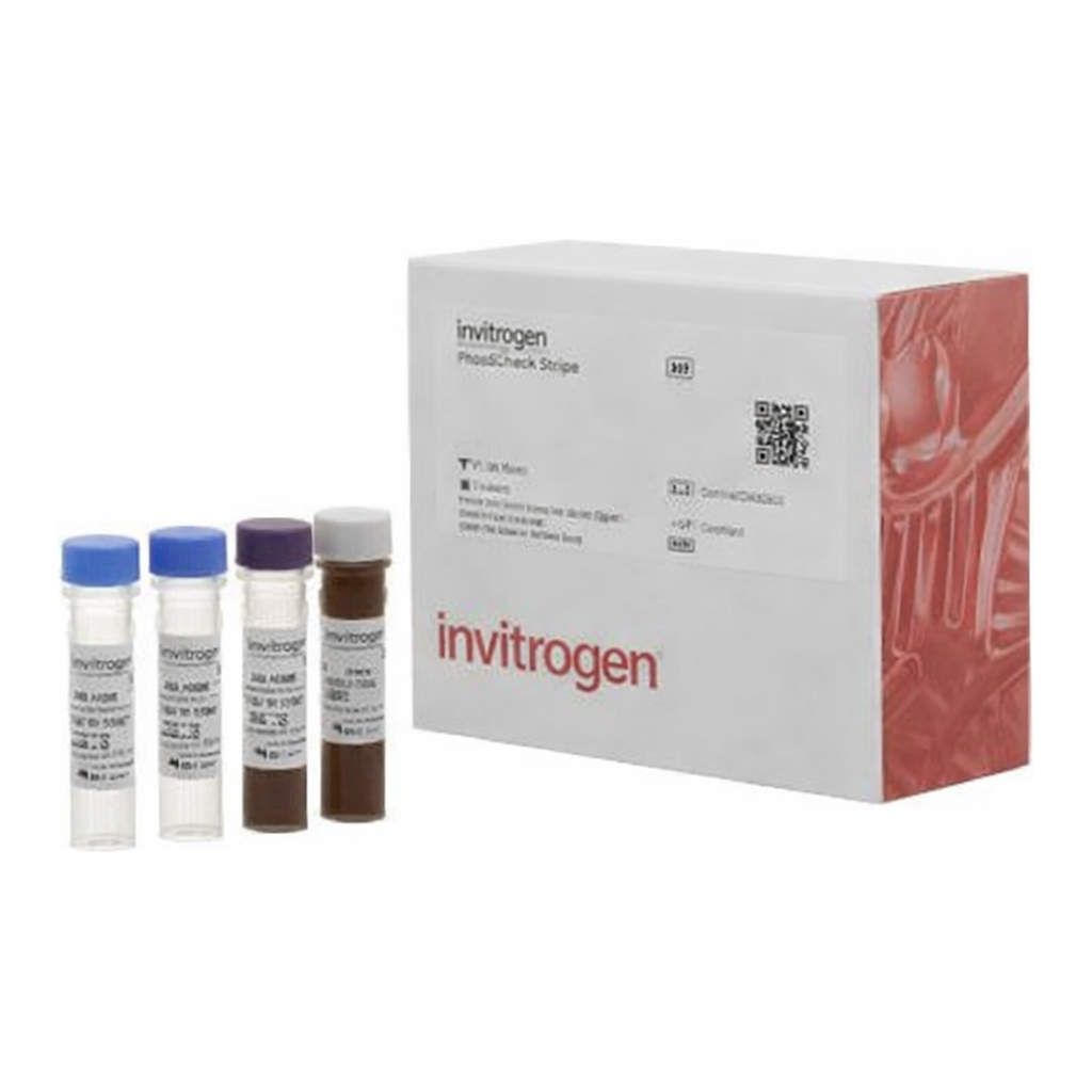 Thermo Fisher Scientific CEA (CEACAM-5) Human ProcartaPlex Simplex Kit