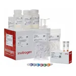 Thermo Fisher Scientific TOPO XL-2 Complete PCR Cloning Kit, without competent cells, 10 reactions