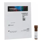 Thermo Fisher Scientific Griffonia Simplicifolia (African Legume) Lectin I (GSL I), DyLight 594