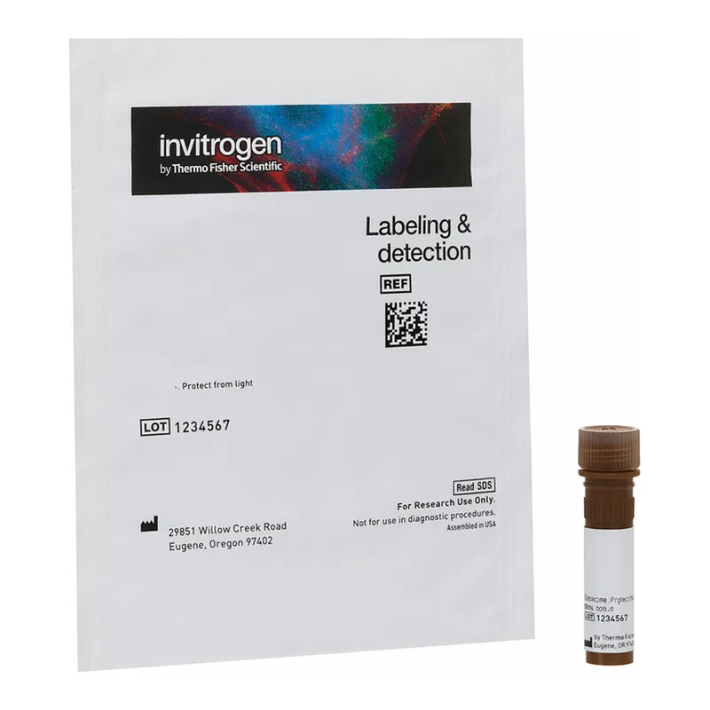 Thermo Fisher Scientific Griffonia Simplicifolia (African Legume) Lectin I (GSL I), DyLight 594