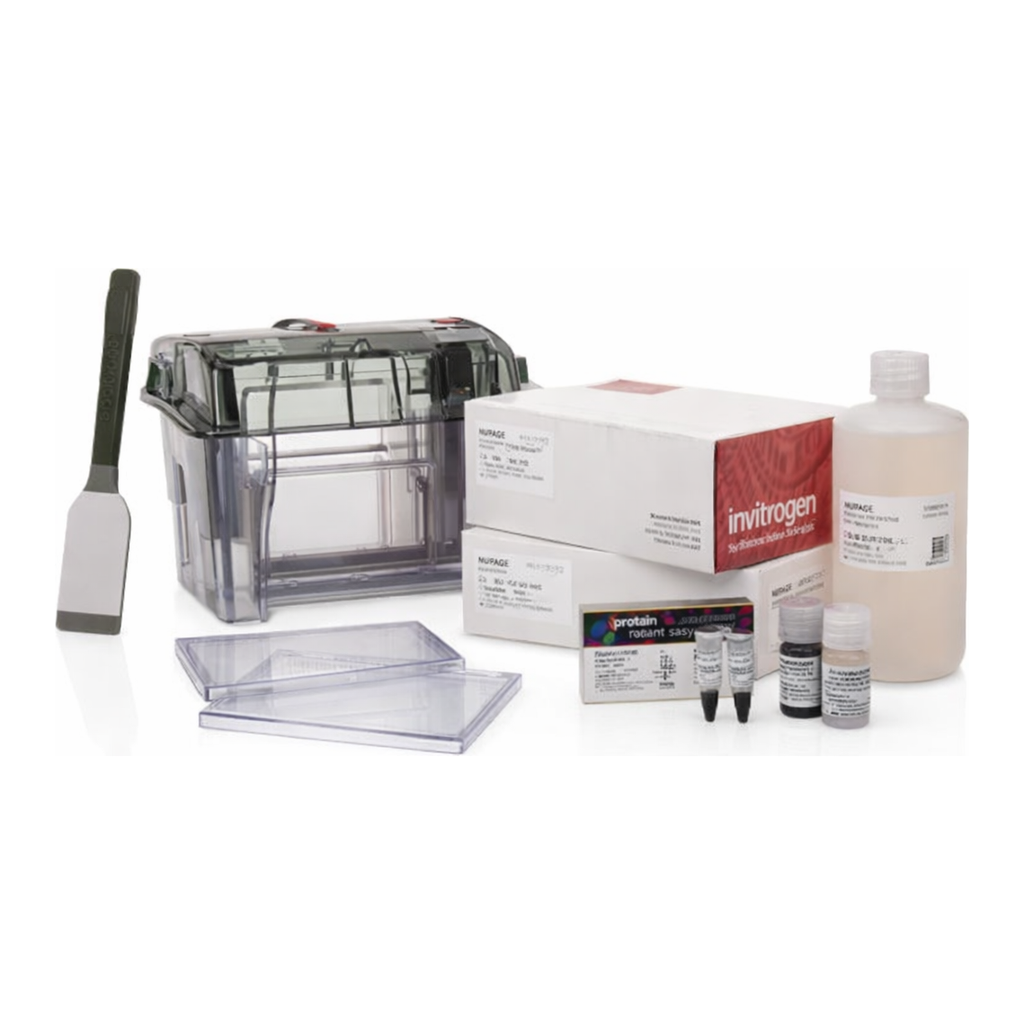 Thermo Fisher Scientific NuPAGE WedgeWell Midi Bis-Tris Welcome Pack, 10%, 20-well, 1 Welcome Pk.