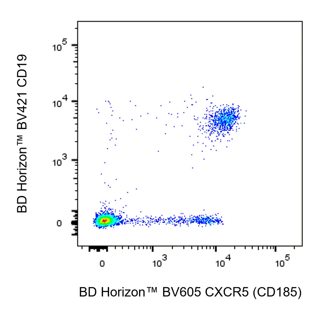 BD BV605 Rat Anti-Human CXCR5 (CD185)