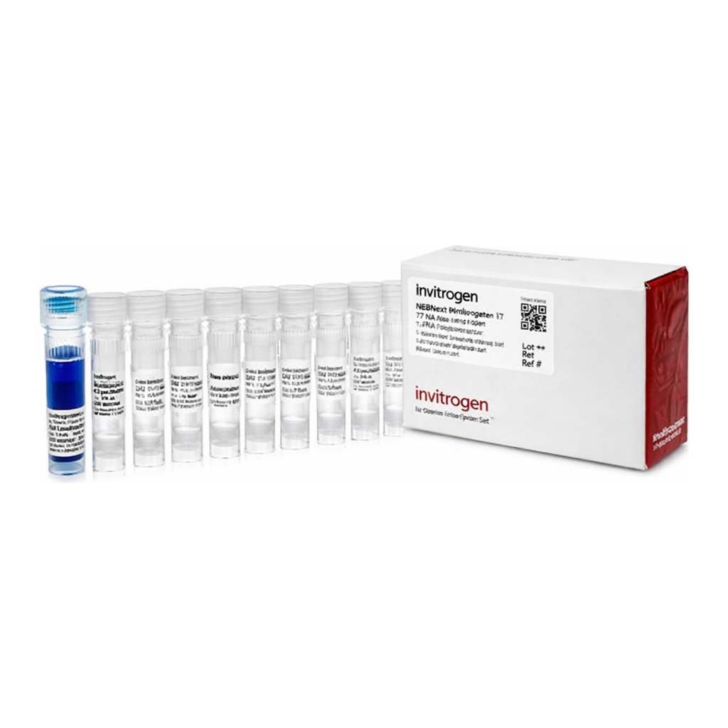 Thermo Fisher Scientific MEGAshortscript T7 Transcription Kit