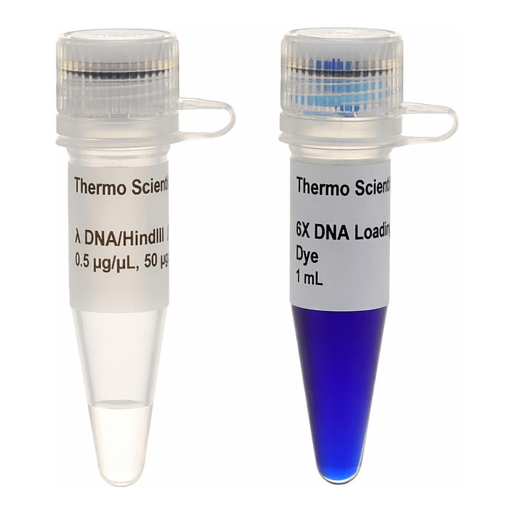 Thermo Fisher Scientific Lambda DNA/HindIII Marker, 5 x 50 ug