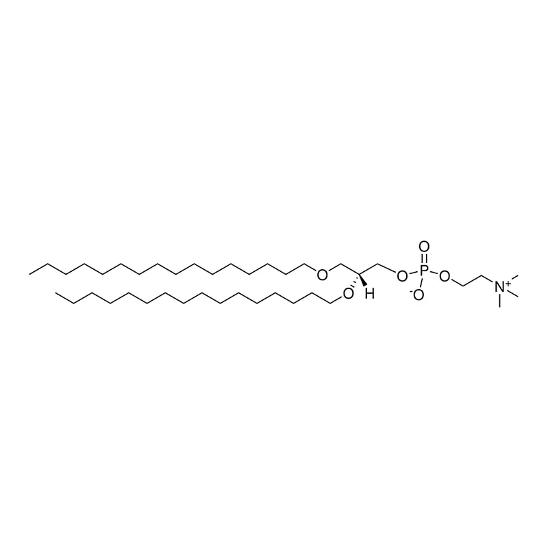 Merck 16:0 Diether PC