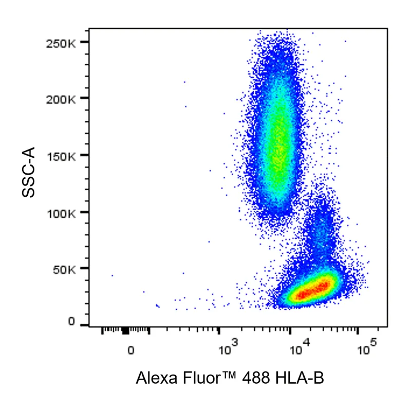 BD Alexa Fluor 488 Rat Anti-Human HLA-B