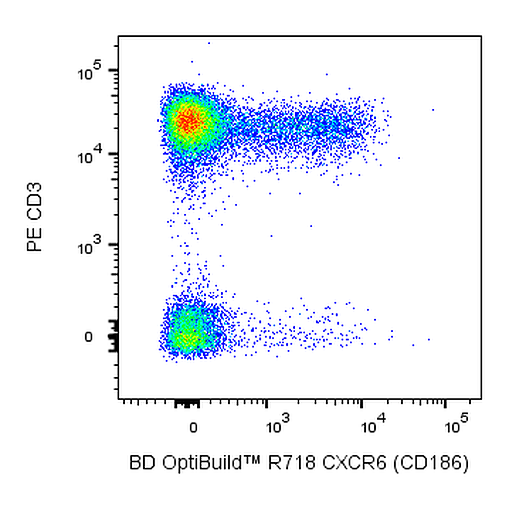 BD R718 Mouse Anti-Human CXCR6 (CD186)