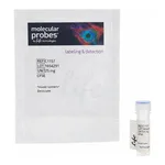 Thermo Fisher Scientific 5(6)-CFDA, SE; CFSE (5-(and-6)-Carboxyfluorescein Diacetate, Succinimidyl Ester), mixed isomers