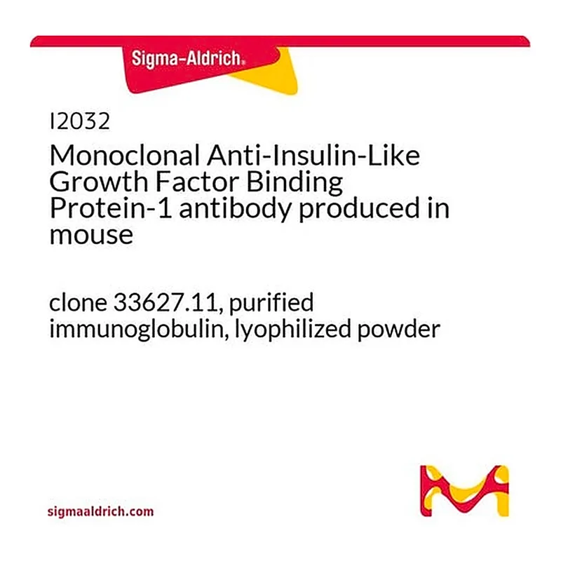Merck Monoclonal Anti-Insulin-Like Growth Factor Binding Protein-1 antibody produced in mouse