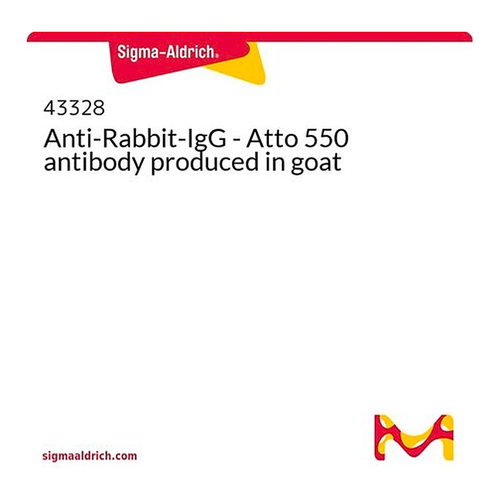 Merck Anti-Rabbit-IgG - Atto 550 antibody produced in goat