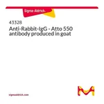 Merck Anti-Rabbit-IgG - Atto 550 antibody produced in goat