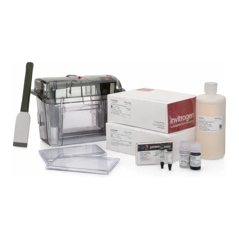 Thermo Fisher Scientific NuPAGE Midi Bis-Tris Welcome Pack, 10%, 20-well, 1 Welcome Pk.