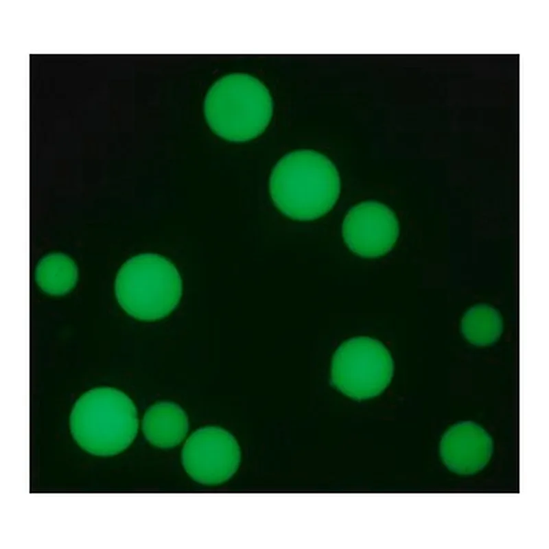 Merck ANTI-HUMAN IGG1−FITC ANTIBODY, MOUSE MO&