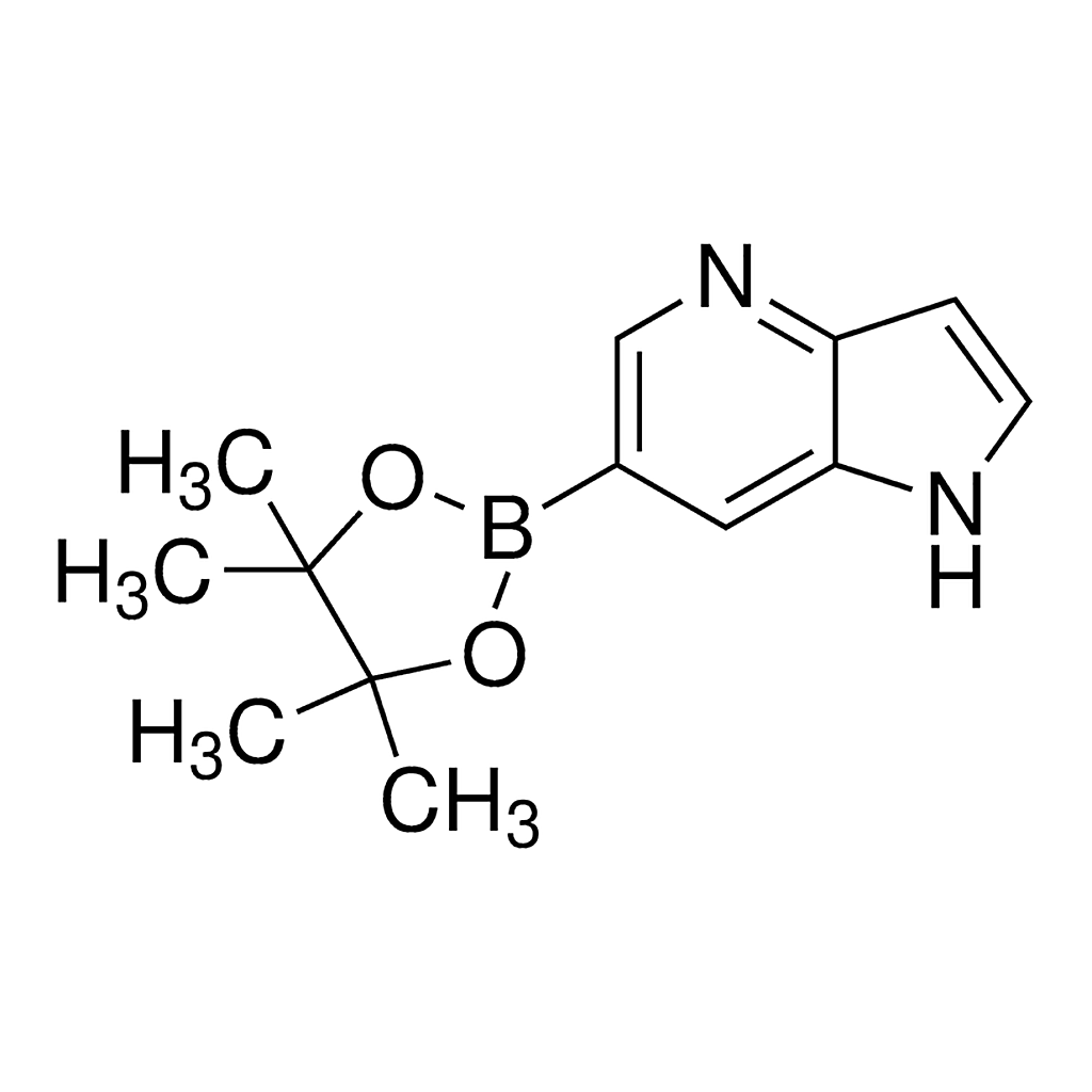 Merck 6-(4,4,5,5-Tetramethyl-1,3,2-dioxaborolan-2-yl)-1H-pyrrolo[3,2-b]pyridine