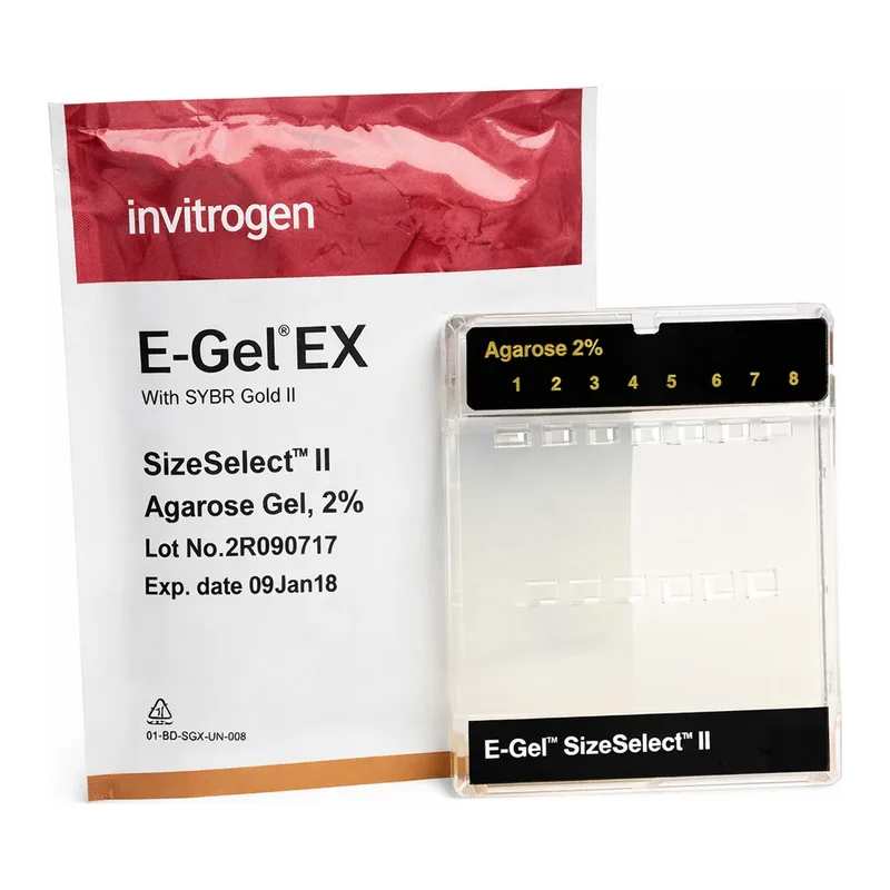 Thermo Fisher Scientific E-Gel SizeSelect II Agarose Gels, 2%