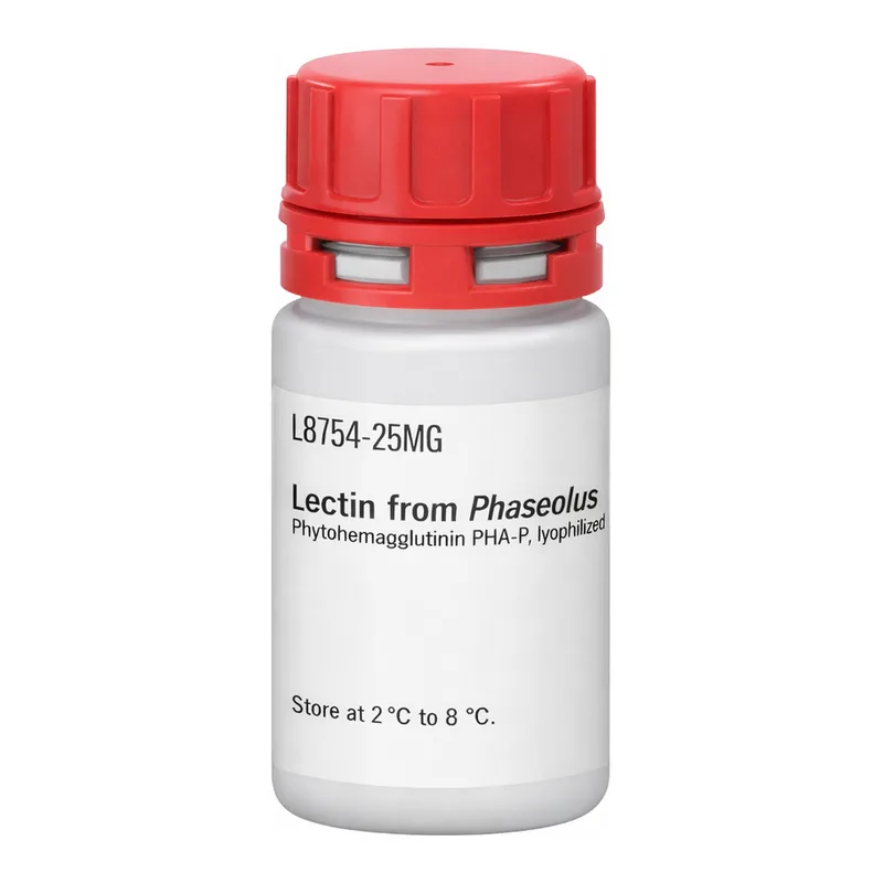 Merck Lectin from Phaseolus vulgaris (red kidney bean)