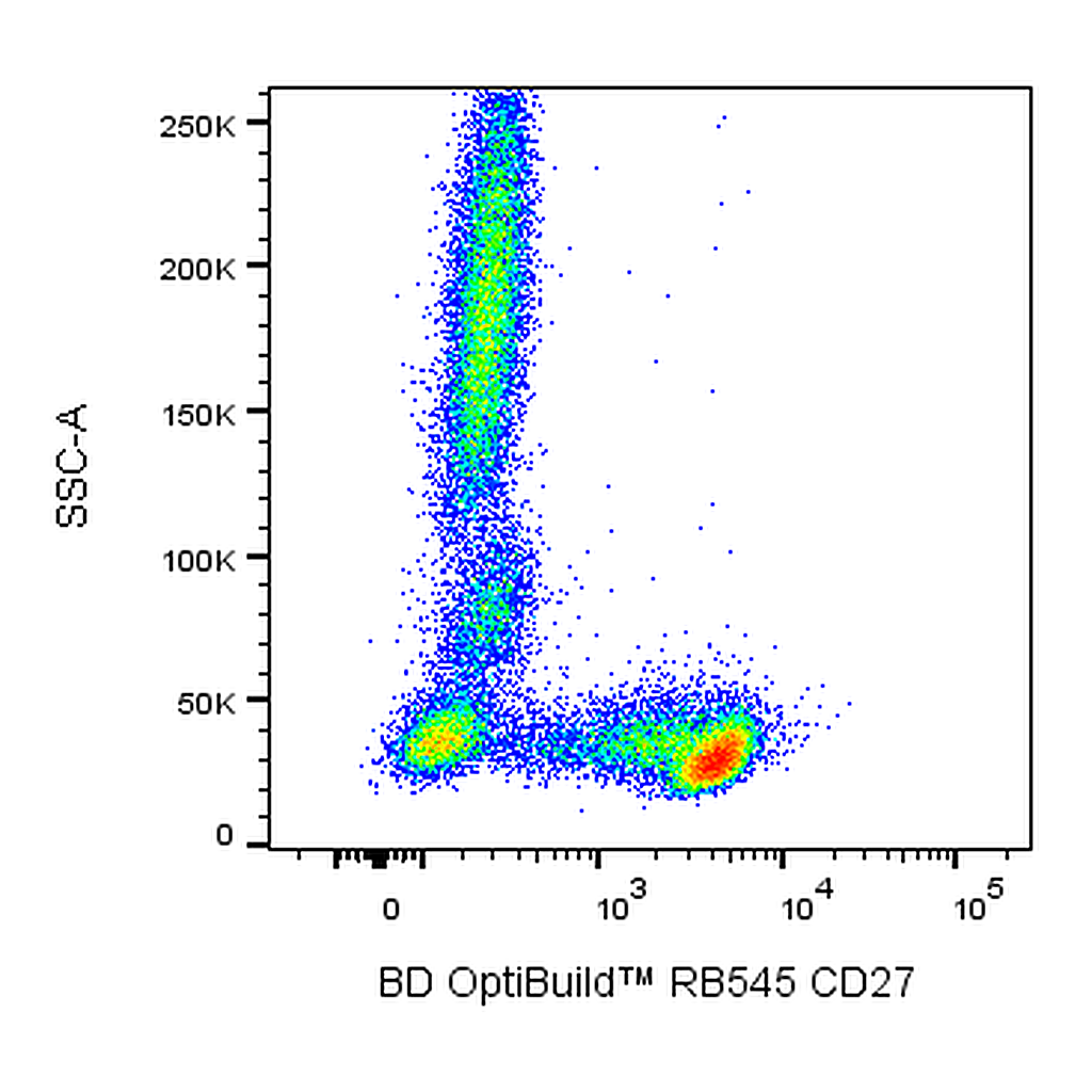 BD RB545 Mouse Anti-Human CD27
