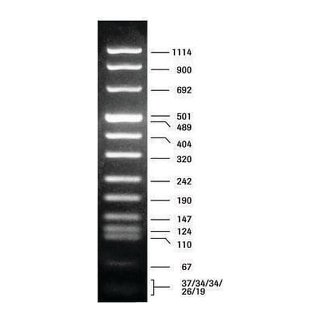 Merck DNA Molecular Weight Marker VIII
