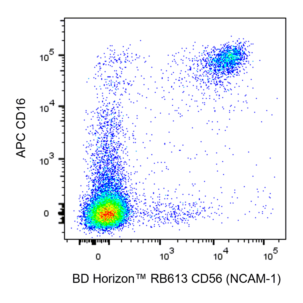 BD RB613 Mouse Anti-Human CD56 (NCAM-1)